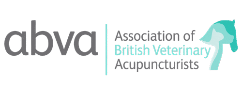 Association of British Veterinary Acupuncturists