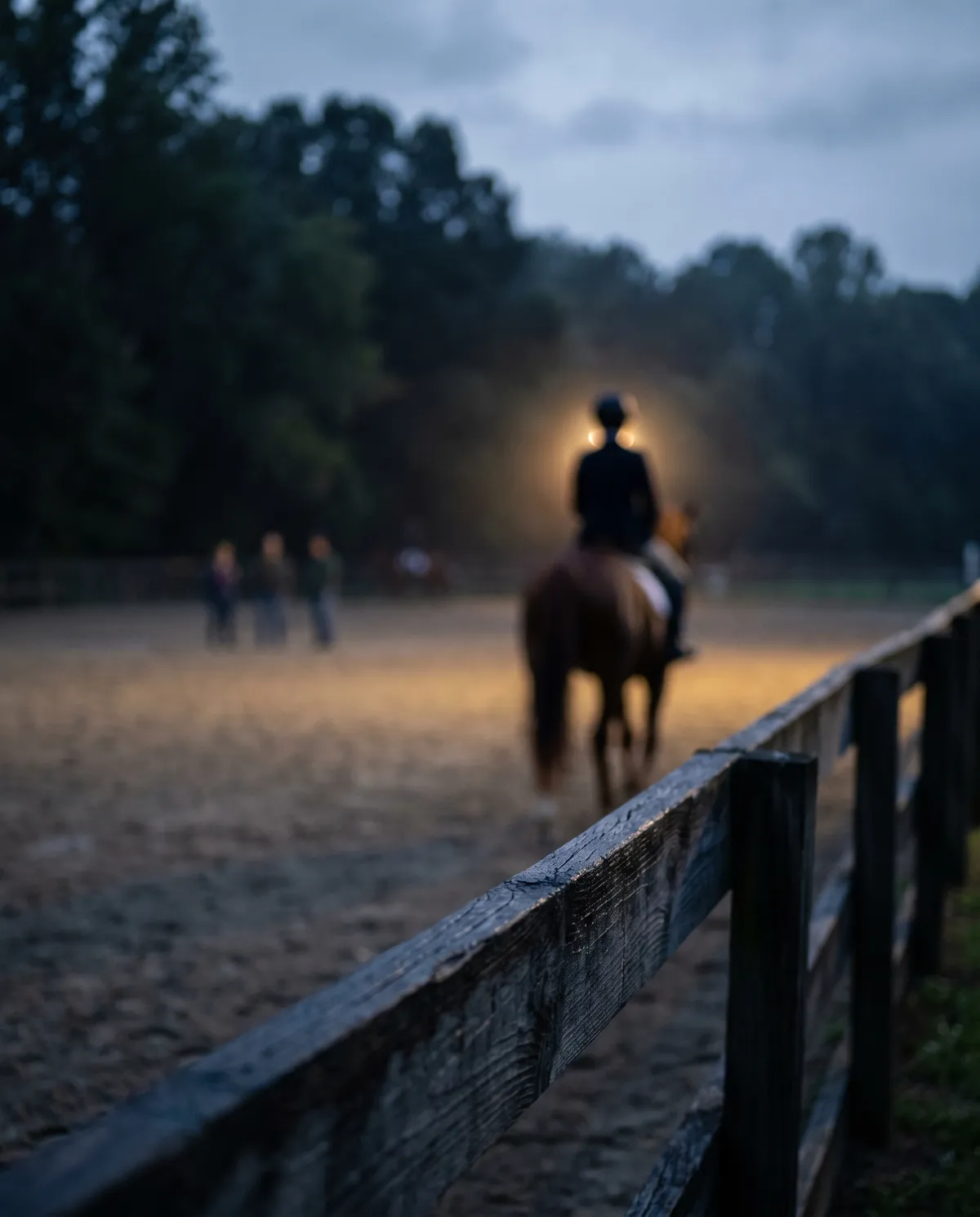 A horse working in a competition arena at dusk, seen from beyond the arena rail