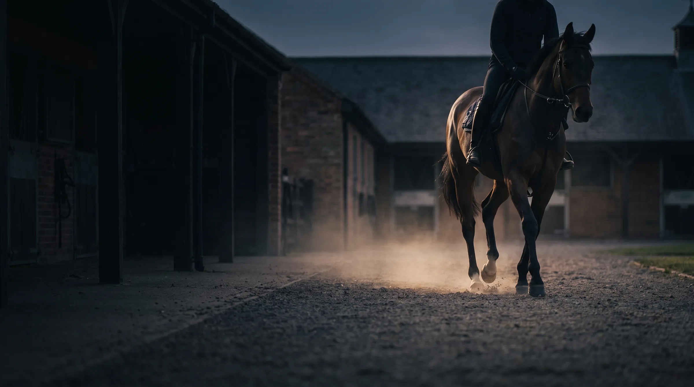 A horse trotting up on a hard surface during a lameness examination