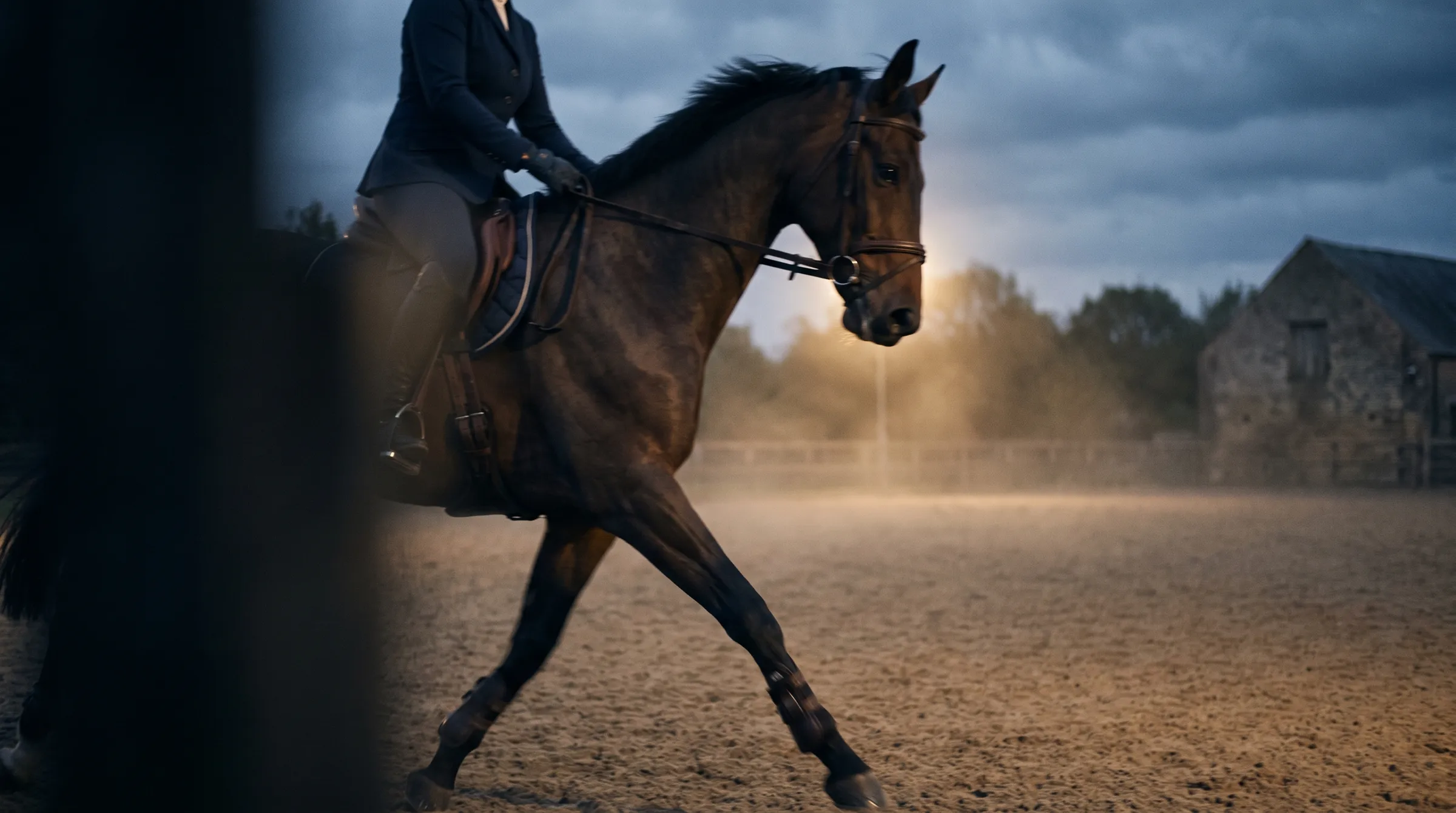 A sport horse working under saddle in an arena