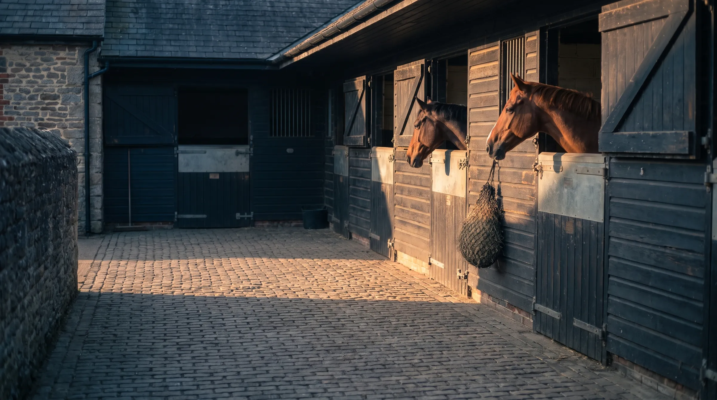 A vet carrying out a routine health check on a horse at a stable yard